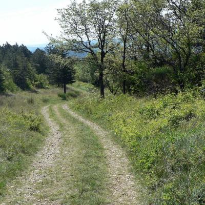 Occitanie Rando Randonnee Herault Plateau Grezac Lodve 18