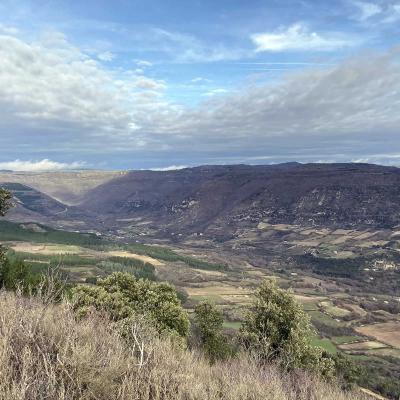 Occitanie Rando Randonnee Herault Plateau Grezac Lodve 24