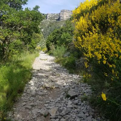 Occitanie Rando Randonnee Herault Navacelles Moulin Foux La Vis 45