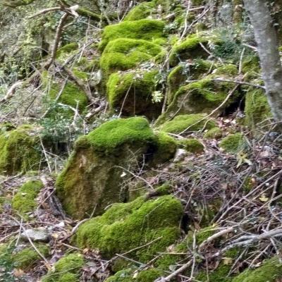 Occitanie Rando Randonnee Herault Pas Escalette Falaises Pegairolles Escalette 26
