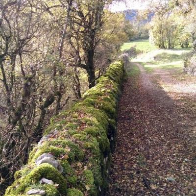 Occitanie Rando Randonnee Herault Pas Escalette Falaises Pegairolles Escalette 37