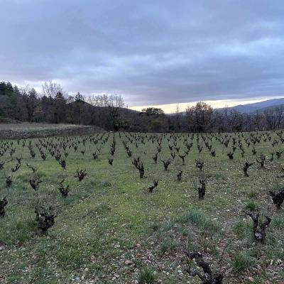 Occitanie Rando Randonnee Herault Soubes Lou Camin Farrat 20