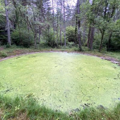 Occitanie Rando Randonnee Aveyron Nant Failles Canalettes 49