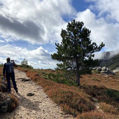 Occitanie Rando Rando Trek Caroux Colombieres Lafage 098