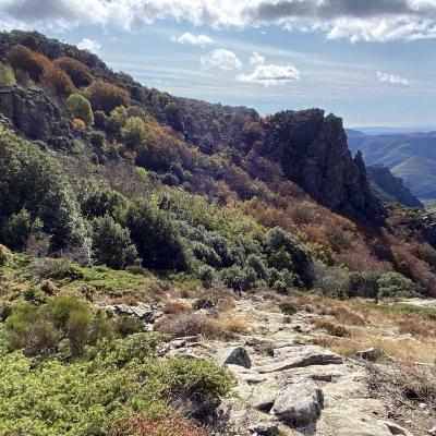 Occitanie Rando Trekking Caroux Colombieres Piste Buffe Les Seilhols Arrete La Fage 02