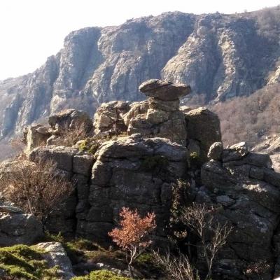 Occitanie Rando Trekking Herault Caroux Colombieres Sur Orb Arete La Fage Seilhols 101