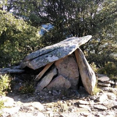 Occitanie Rando Trekking Herault Caroux Colombieres Sur Orb Arete La Fage Seilhols 109