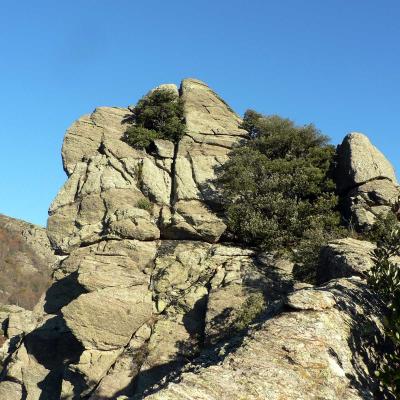 Occitanie Rando Trekking Herault Caroux Colombieres Sur Orb Arete La Fage Seilhols 31