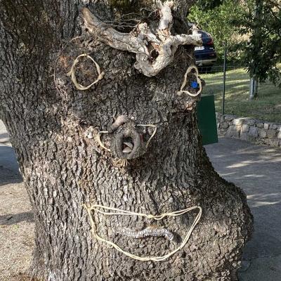 Occitanie Rando Randonnee Herault Lodevois Chapelle Saint Amans 17