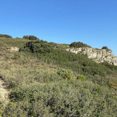 Occitanie Rando Randonnee Herault Gigean Gardiole Abbaye Saint Felix De Monceau 02