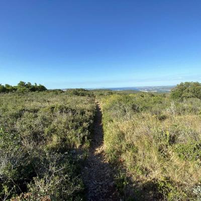 Occitanie Rando Randonnee Herault Gigean Gardiole Abbaye Saint Felix De Monceau 04