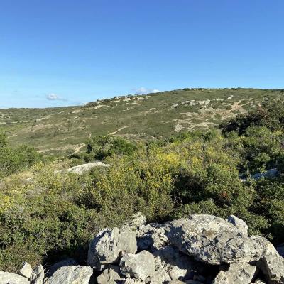 Occitanie Rando Randonnee Herault Gigean Gardiole Abbaye Saint Felix De Monceau 07