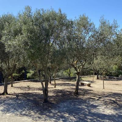 Occitanie Rando Randonnee Herault Gigean Gardiole Abbaye Saint Felix De Monceau 32