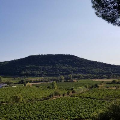 Occitanie Rando Randonnee Herault Fontes Volcans Vignes Ceressou Celessou 06