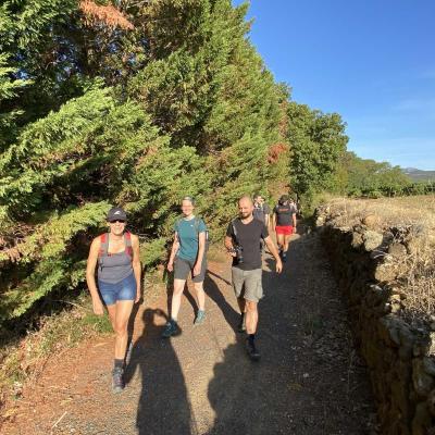 Occitanie Rando Randonnee Herault Fontes Volcans Vignes Ceressou Celessou 15