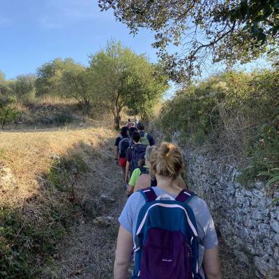 Occitanie Rando Randonnee Herault Fontes Volcans Vignes Ceressou Celessou 19