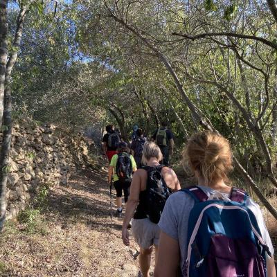Occitanie Rando Randonnee Herault Fontes Volcans Vignes Ceressou Celessou 20