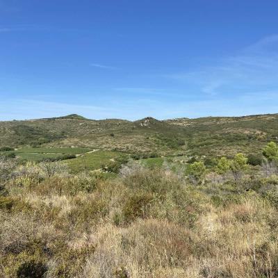 Occitanie Rando Randonnee Herault Fontes Volcans Vignes Ceressou Celessou 26