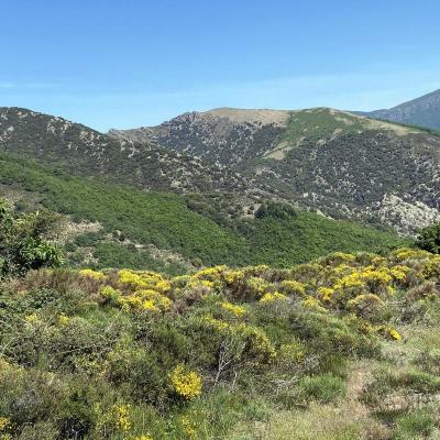 Occitanie Rando Trekking Herault Compeyre Les Banissous 19