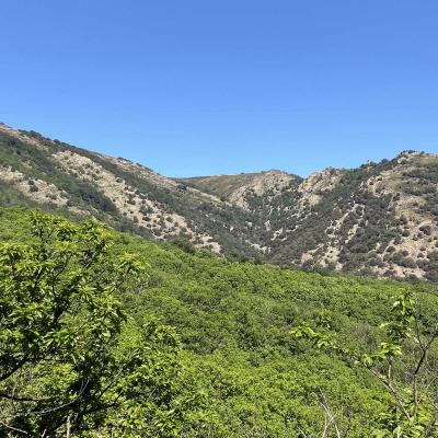 Occitanie Rando Trekking Herault Compeyre Les Banissous 22