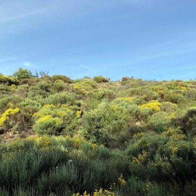 Occitanie Rando Trekking Herault Compeyre Les Banissous 69