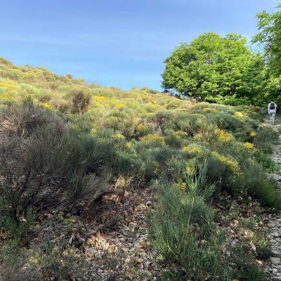 Occitanie Rando Trekking Herault Compeyre Les Banissous 76