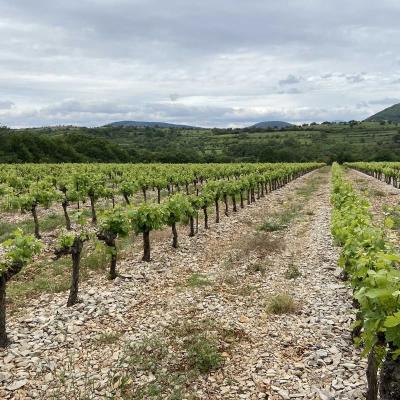 Occitanie Rando Randonnee Herault Pegairolles Bueges Massif Seranne 13