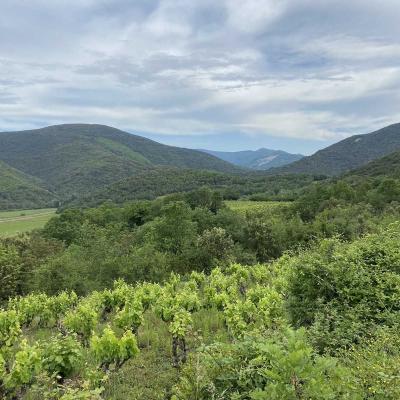 Occitanie Rando Randonnee Herault Pegairolles Bueges Massif Seranne 67