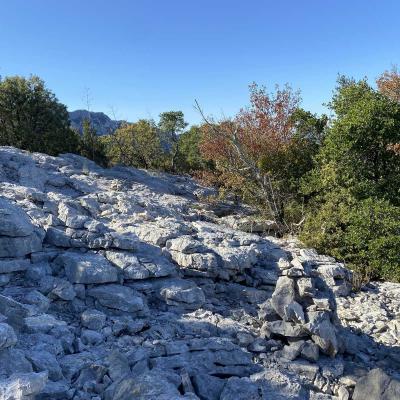 Occitanie Rando Randonnee Herault Valflaunes Falaises Hortus Pic Saint Loup 09