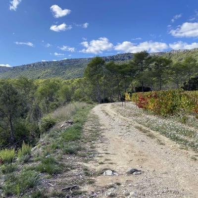 Occitanie Rando Randonnee Herault Valflaunes Falaises Hortus Pic Saint Loup 17