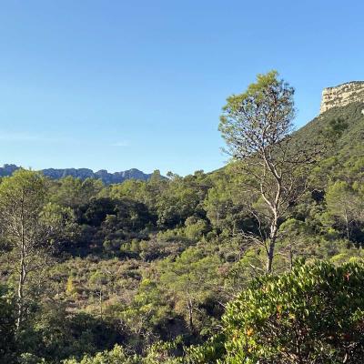 Occitanie Rando Randonnee Herault Valflaunes Falaises Hortus Pic Saint Loup 20