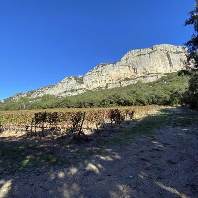 Occitanie Rando Randonnee Herault Valflaunes Falaises Hortus Pic Saint Loup 24