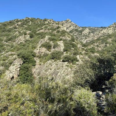 Occitanie Rando Trekking Herault Caroux Colombieres Sur Orb Sentier Esquino Daze 02