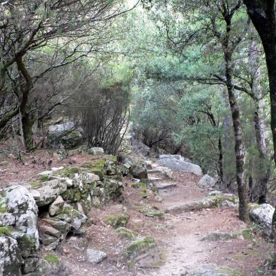 Occitanie Rando Trekking Herault Caroux Colombieres Sur Orb Sentier Esquino Daze 15
