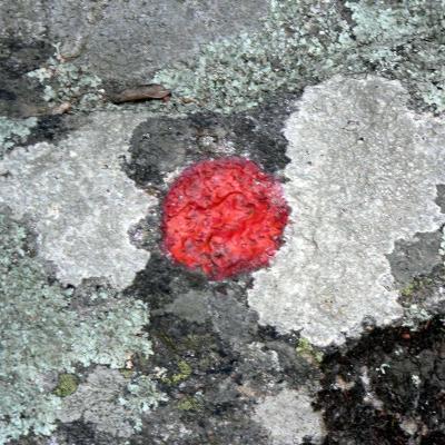 Occitanie Rando Trekking Herault Caroux Colombieres Sur Orb Sentier Esquino Daze 19