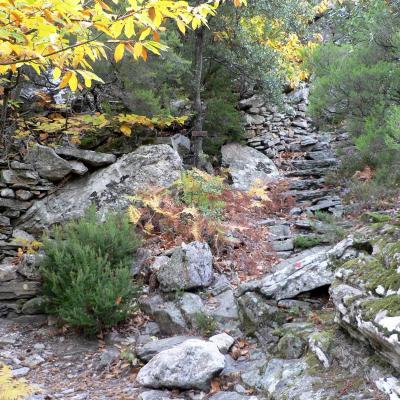 Occitanie Rando Trekking Herault Caroux Colombieres Sur Orb Sentier Esquino Daze 20