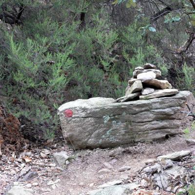 Occitanie Rando Trekking Herault Caroux Colombieres Sur Orb Sentier Esquino Daze 24
