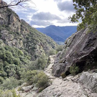 Occitanie Rando Trekking Herault Caroux Colombieres Sur Orb Sentier Esquino Daze 37
