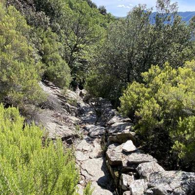 Occitanie Rando Trekking Herault Colombieres Sur Orb Vire Roque Rouge Caroux 16