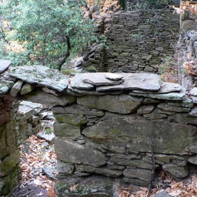 Occitanie Rando Trekking Herault Colombieres Sur Orb Vire Roque Rouge Caroux 19