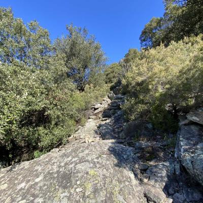 Occitanie Rando Trekking Herault Caroux Albine Portail Cades Colombires 05