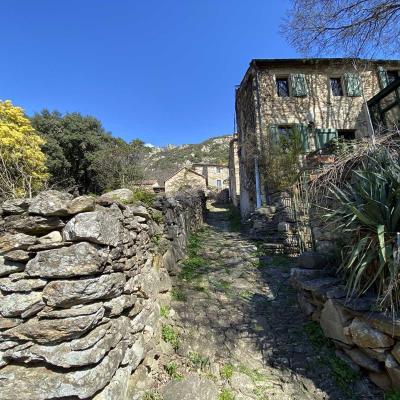 Occitanie Rando Trekking Herault Caroux Albine Portail Cades Colombires 59