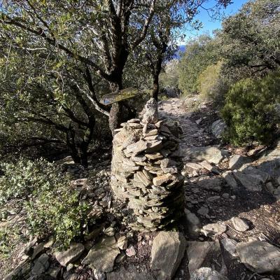 Occitanie Rando Trekking Caroux Saint Martin Larcon Salesse Sentier Gardes Rieutord 18
