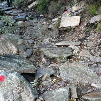 Occitanie Rando Trekking Caroux Saint Martin Larcon Salesse Sentier Gardes Rieutord 41