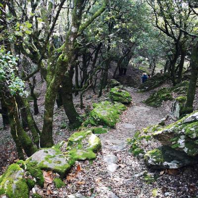 Occitanie Rando Trekking Caroux Douch Sentier Trois Cols 03