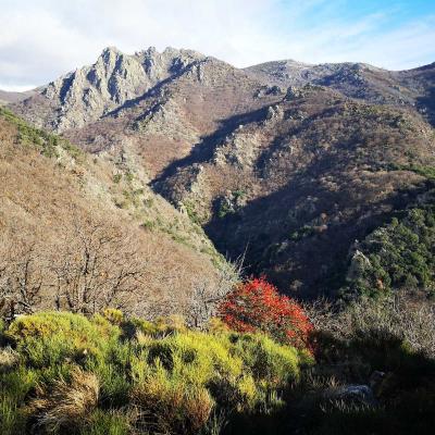 Occitanie Rando Trekking Caroux Douch Sentier Trois Cols 04