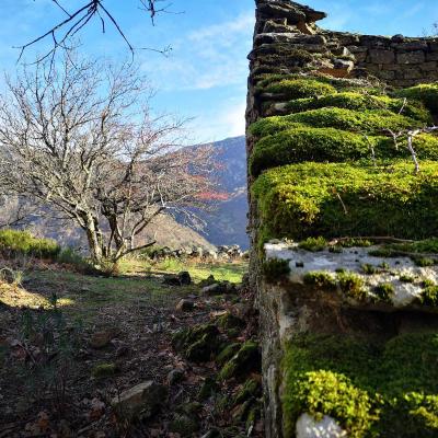 Occitanie Rando Trekking Caroux Douch Sentier Trois Cols 07