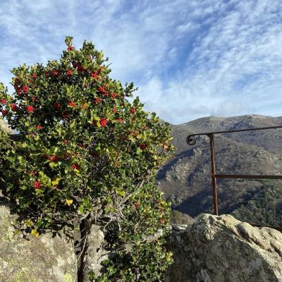 Occitanie Rando Trekking Caroux Douch Sentier Trois Cols 14