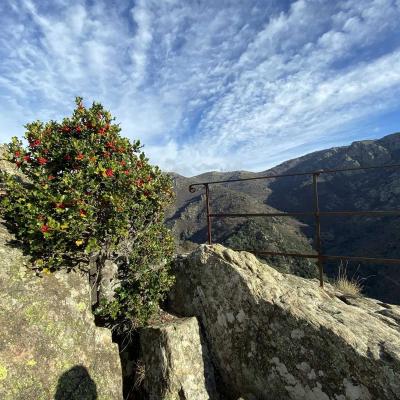 Occitanie Rando Trekking Caroux Douch Sentier Trois Cols 15