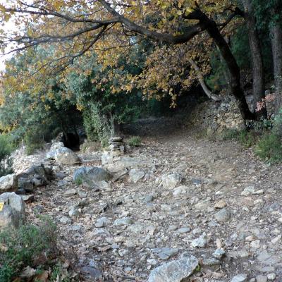 Occitanie Rando Trekking Herault Caroux Saint Martin De Arcon Sentier Des Gardes 18